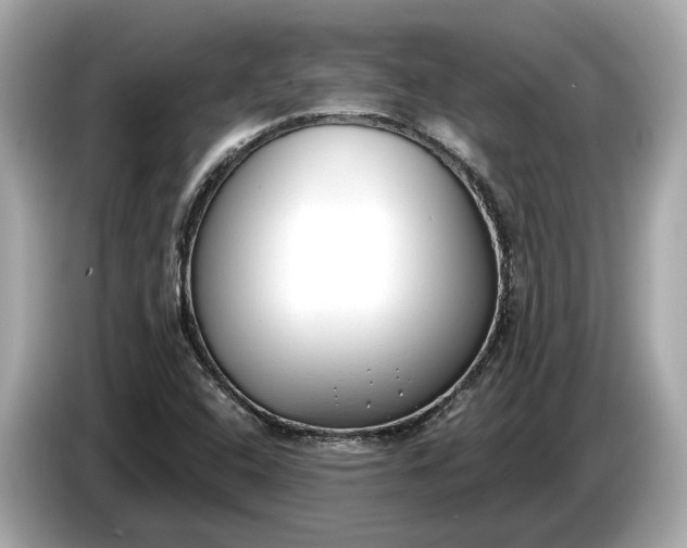 X0000085081408200703191313