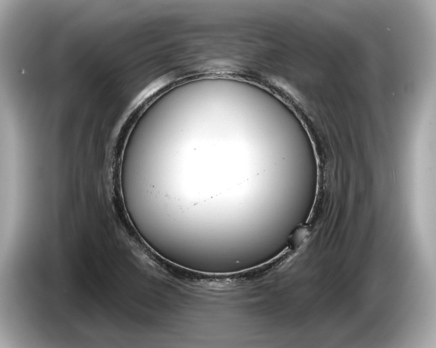 X0000085081410200703191313