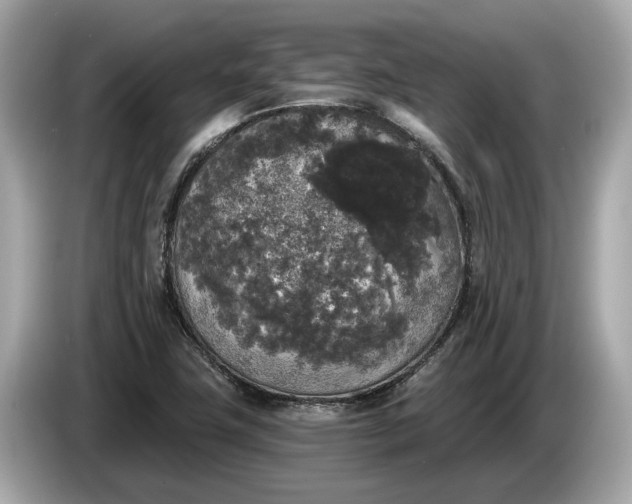 X0000085081411200703191313