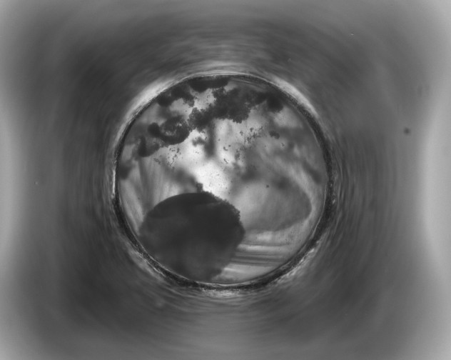 X0000085081413200703191313