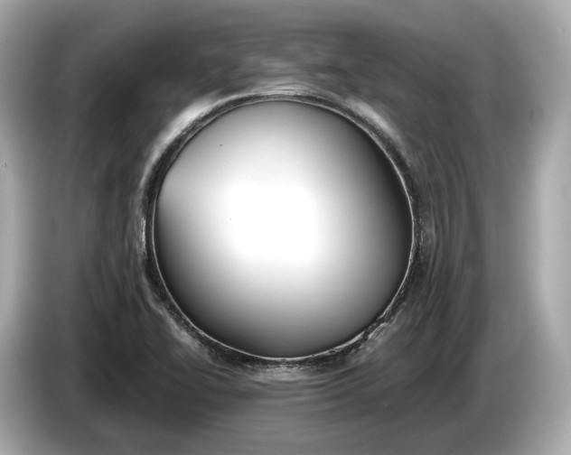 X0000085081414200703191313