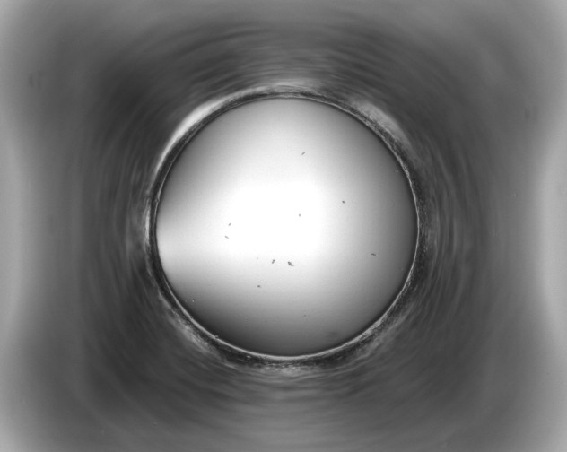 X0000085081420200703191313