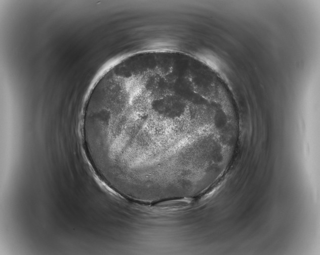 X0000085081421200703191313