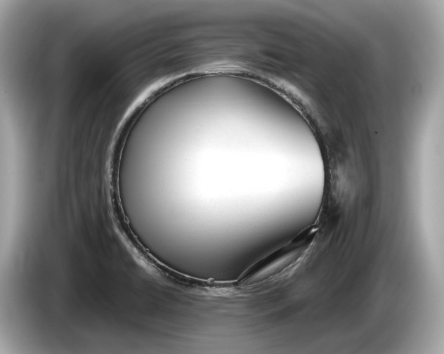 X0000085081422200703191313