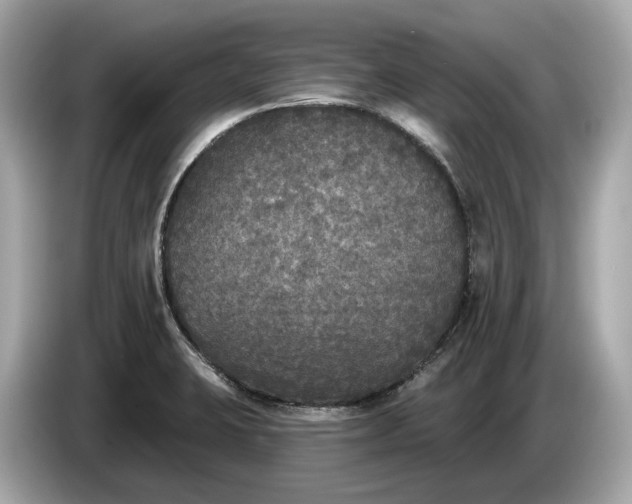 X0000085081423200703191313