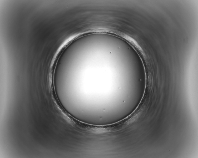 X0000085081424200703191313