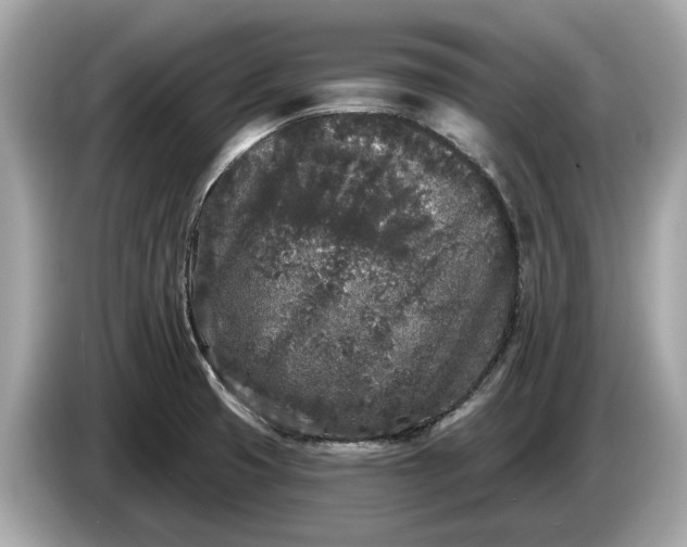 X0000085081425200703191314