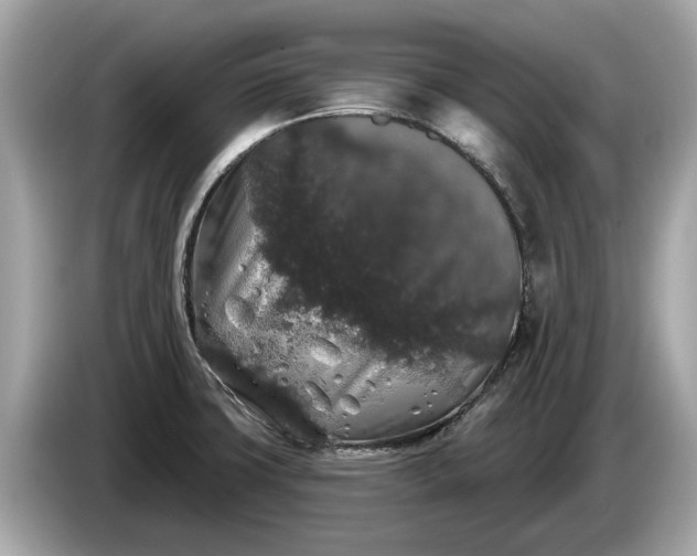 X0000085081427200703191314