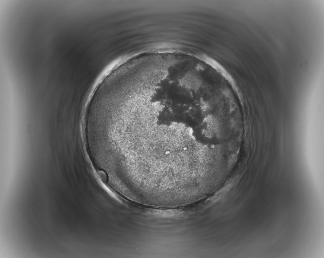 X0000085081429200703191314