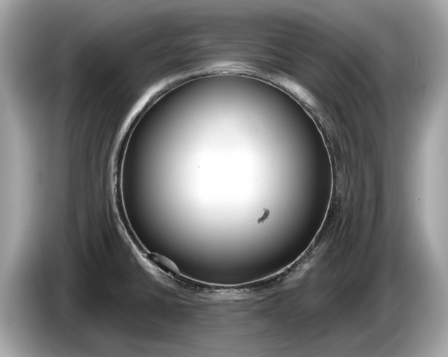 X0000085081430200703191314