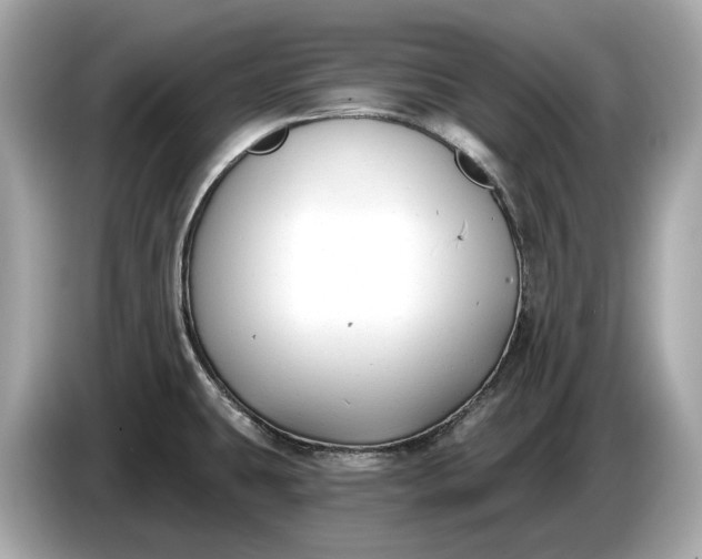 X0000085081431200703191314