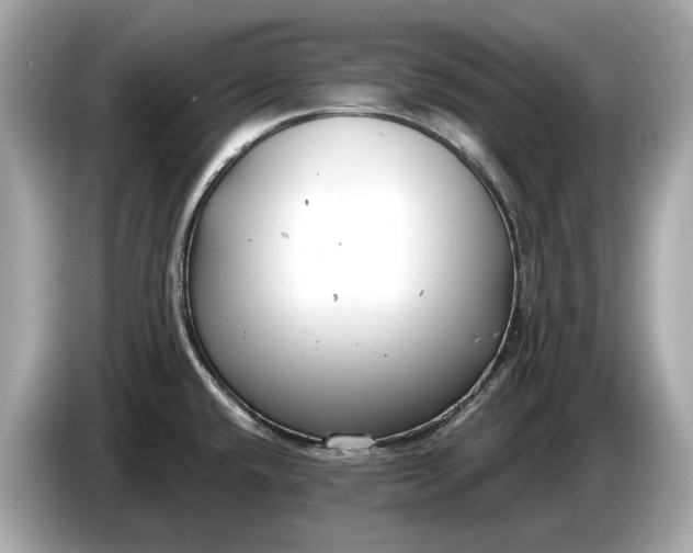 X0000085081432200703191314