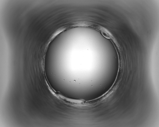 X0000085081433200703191314