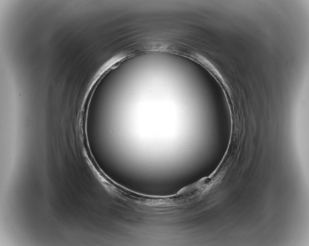 X0000085081434200703191314