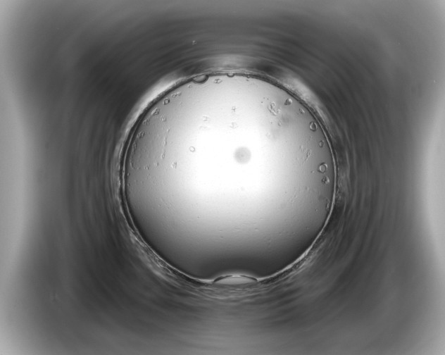 X0000085081435200703191314