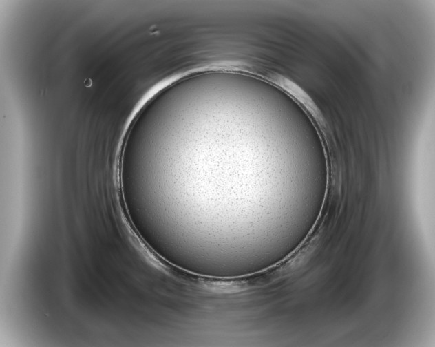 X0000085081436200703191314