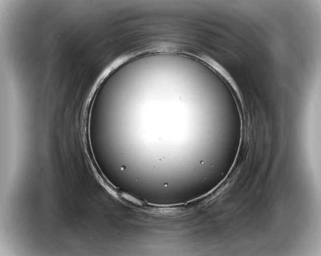 X0000085081437200703191314