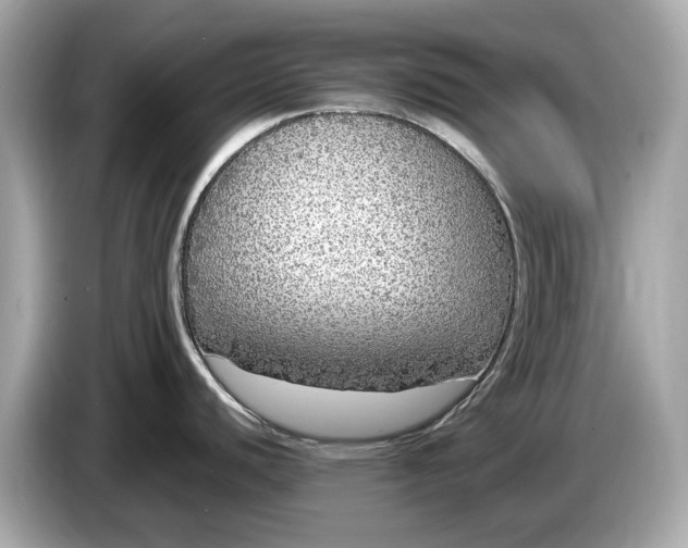 X0000085081440200703191314