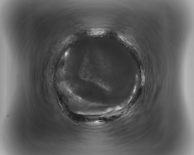 X0000085081441200703191313