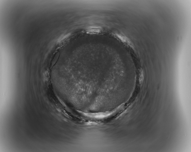 X0000085081445200703191313