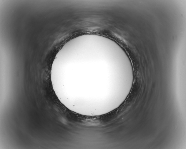 X0000085081447200703191313