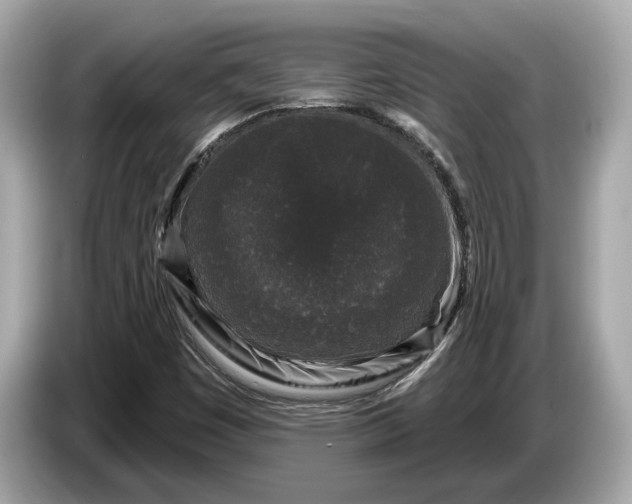 X0000085081449200703191313