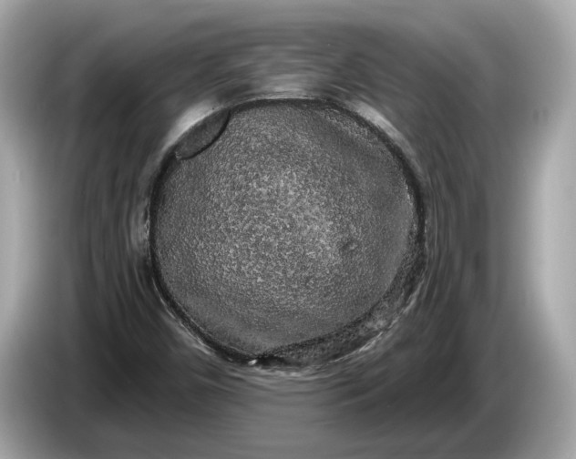 X0000085081450200703191313