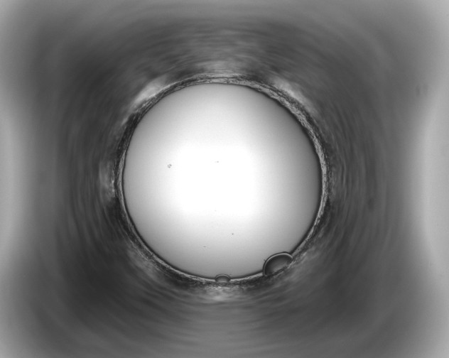 X0000085081451200703191313