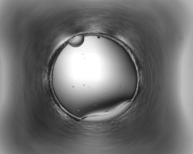 X0000085081452200703191313