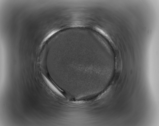 X0000085081453200703191313