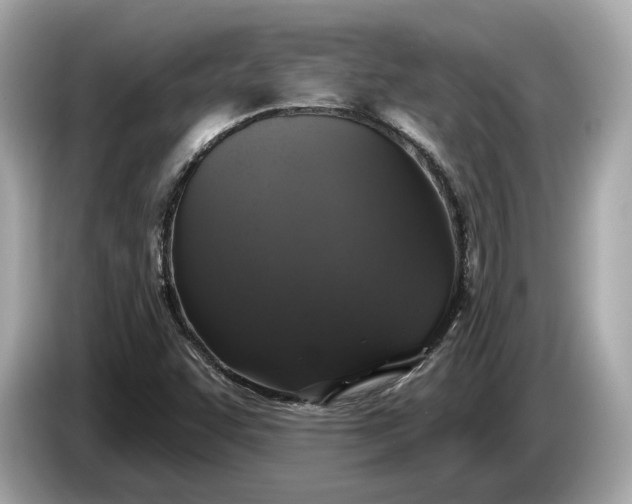 X0000085081455200703191313