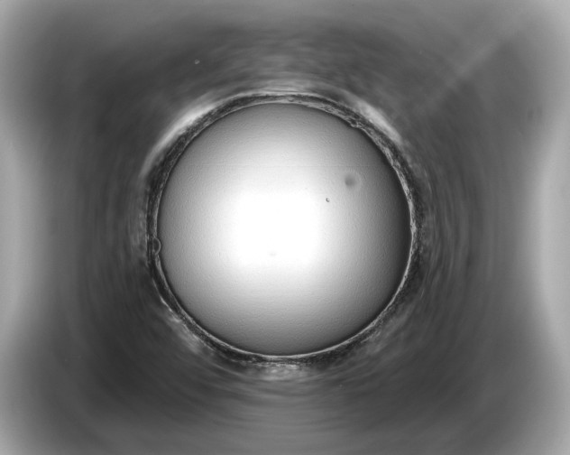 X0000085081456200703191313