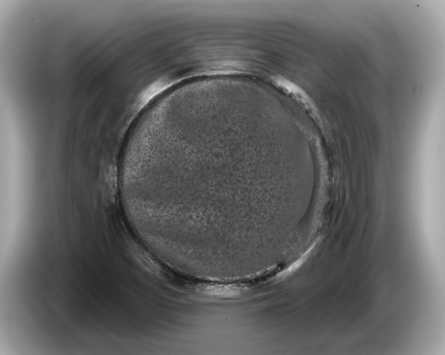 X0000085081457200703191313