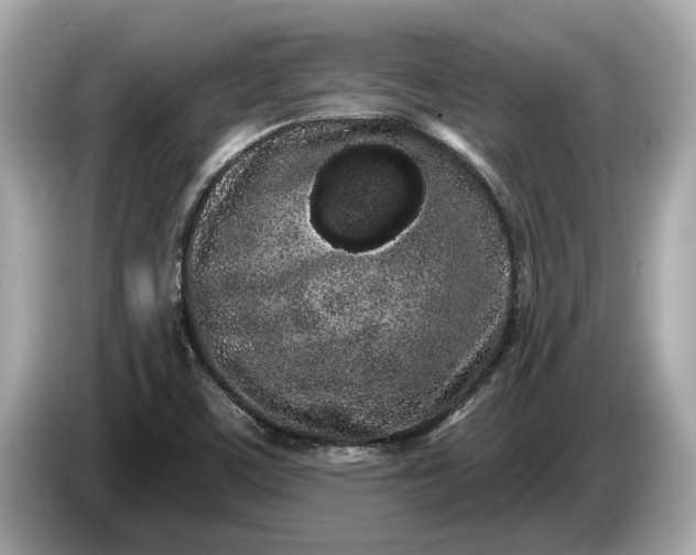 X0000085081459200703191313