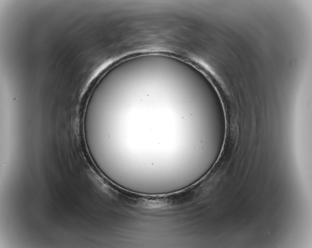 X0000085081460200703191313