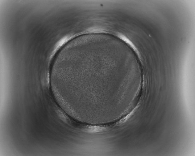 X0000085081461200703191313