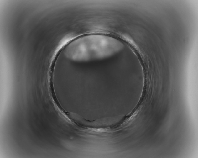 X0000085081463200703191313