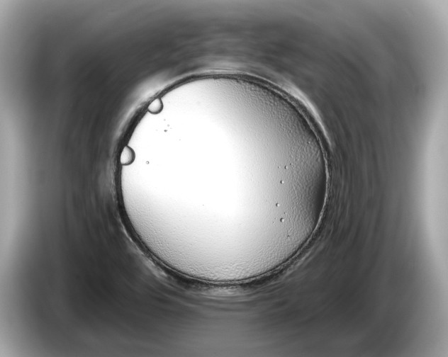 X0000085081464200703191313