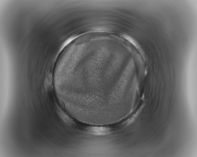 X0000085081465200703191313