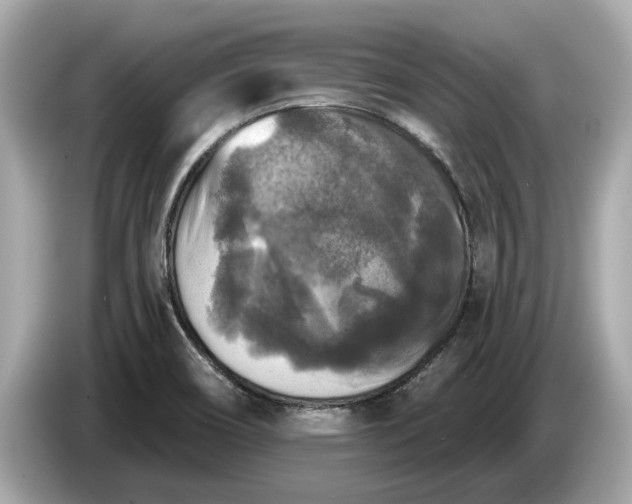 X0000085081466200703191313