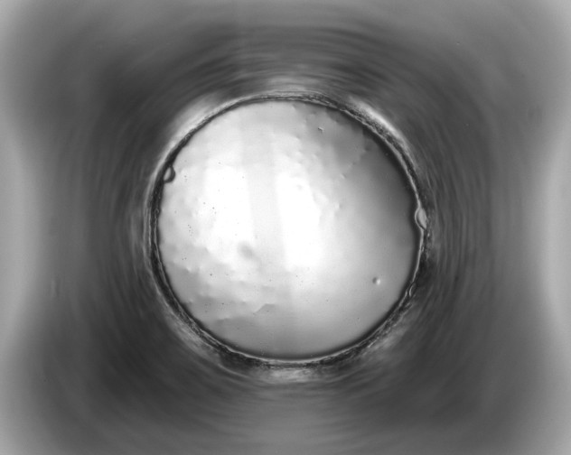 X0000085081467200703191313