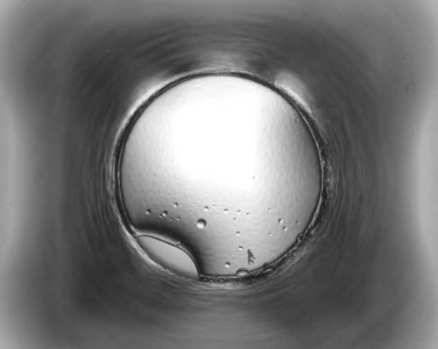 X0000085081468200703191313