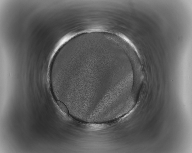 X0000085081469200703191313