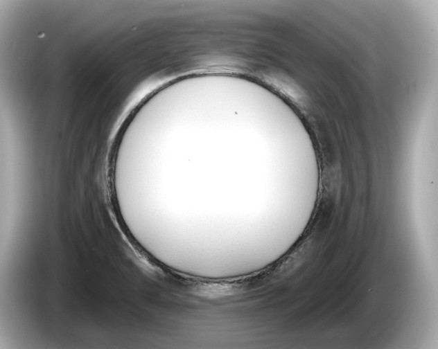 X0000085081470200703191313