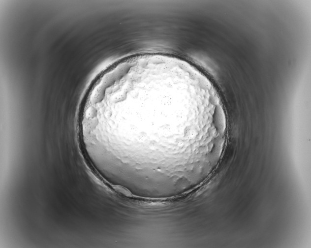 X0000085081471200703191313