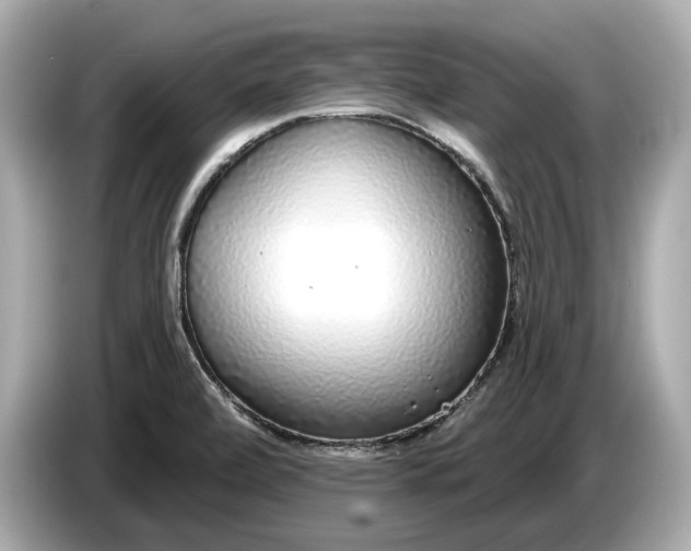 X0000085081472200703191313