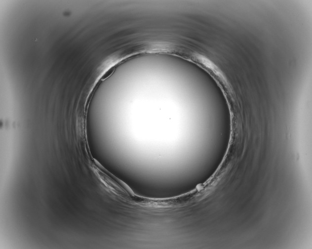 X0000085081473200703191313