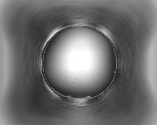 X0000085081476200703191313