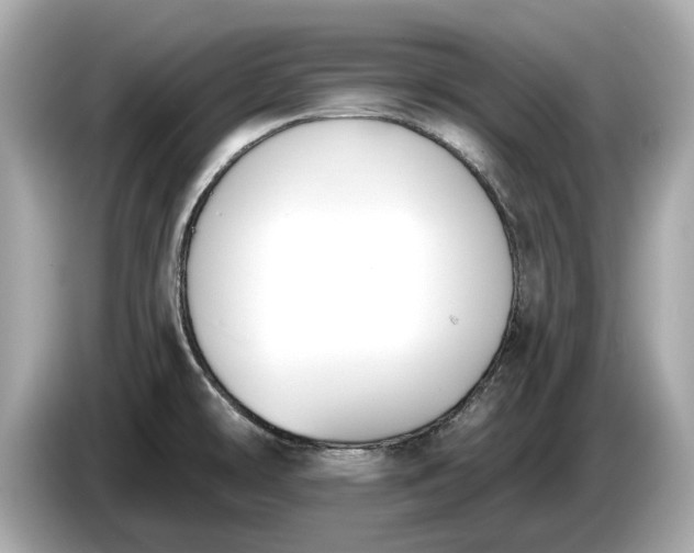 X0000085081478200703191313