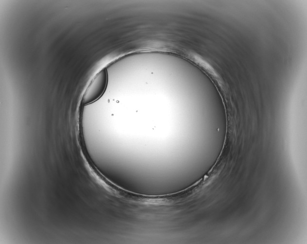 X0000085081479200703191312